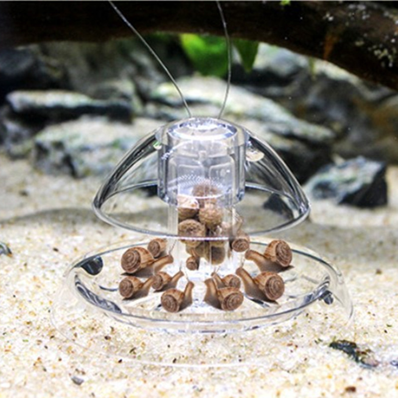 1PCS Aquarium Aquarium Cleaner - Marine Aquarium Glass Cleaner recensie en prijs
