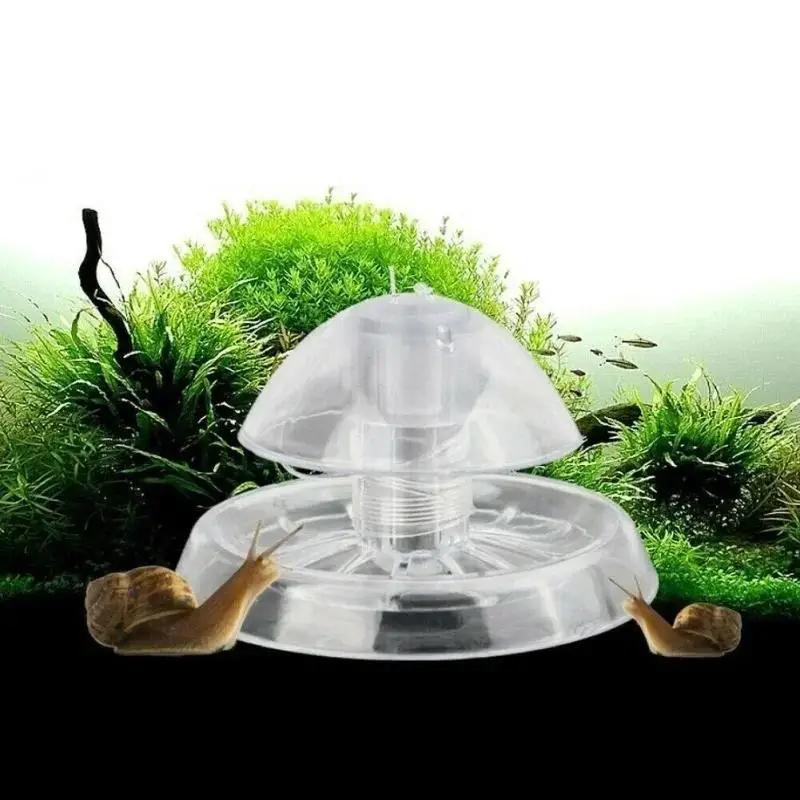 2026 Nieuwe 6/8CM Transparante - Aquarium Marine recensie en prijs
