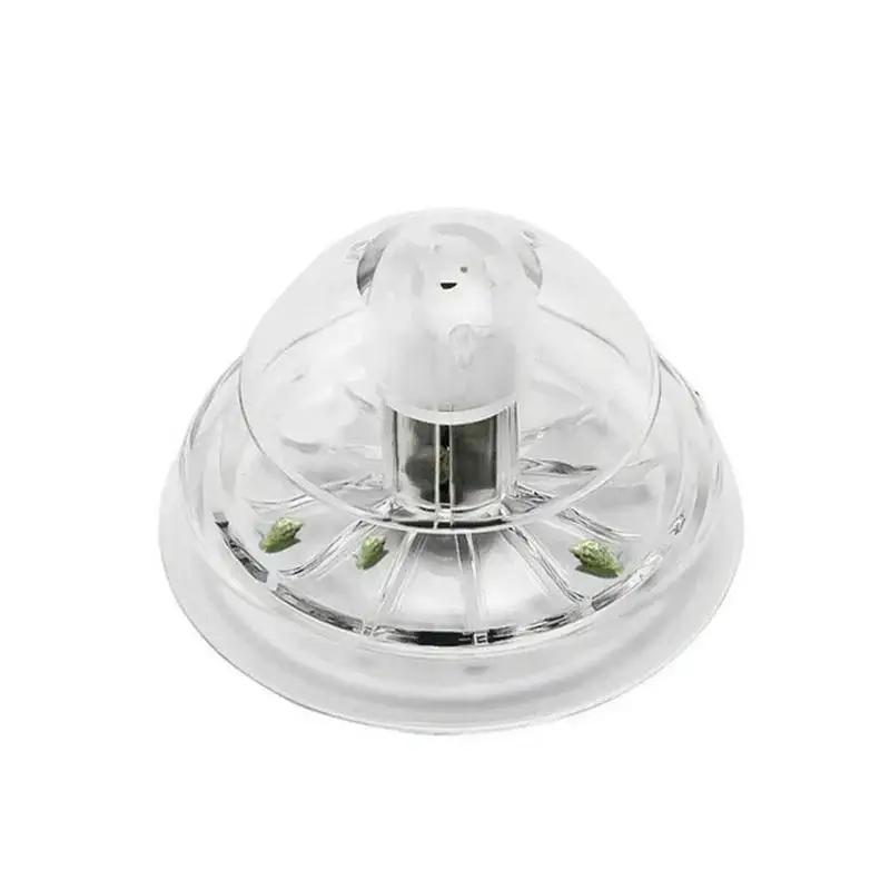 2026 Nieuwe 6/8CM Transparante - Aquarium Marine recensie en prijs