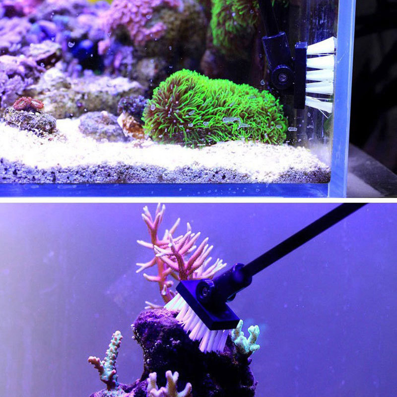 Vissen Reinigingsborstel Plant - Marine Aquarium Glass Cleaner recensie en prijs