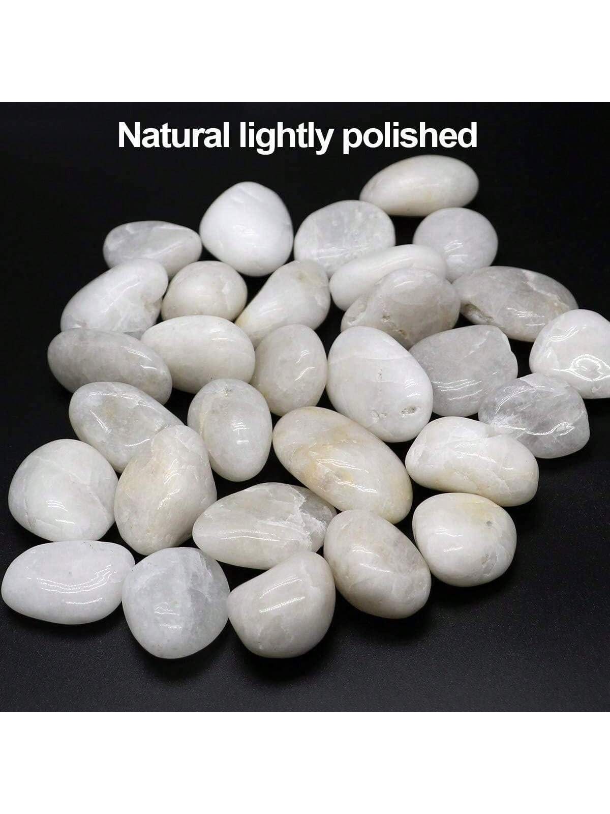 River Rocks Decoratieve Sier W - Aquarium Marine Tank recensie en prijs