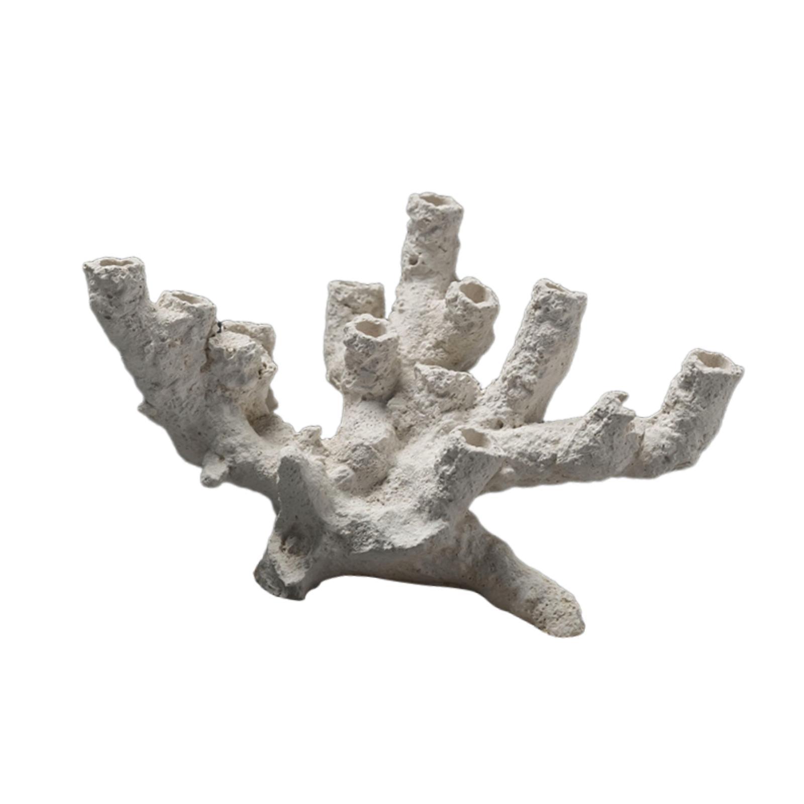 Aquarium Fokken Schuilplaats O - Marine Aquarium Aquascape recensie en prijs