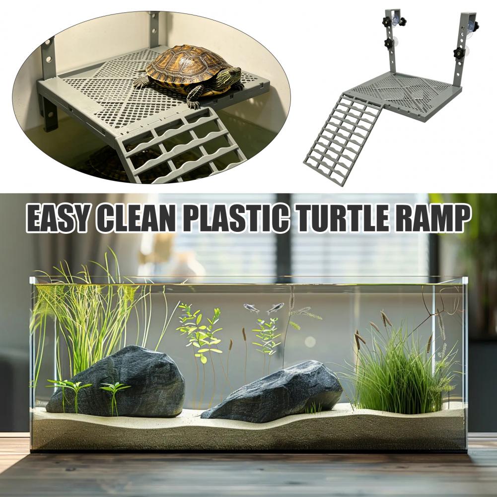 Aquariumdecoratie, massief han - Aquarium Marine Tank recensie en prijs