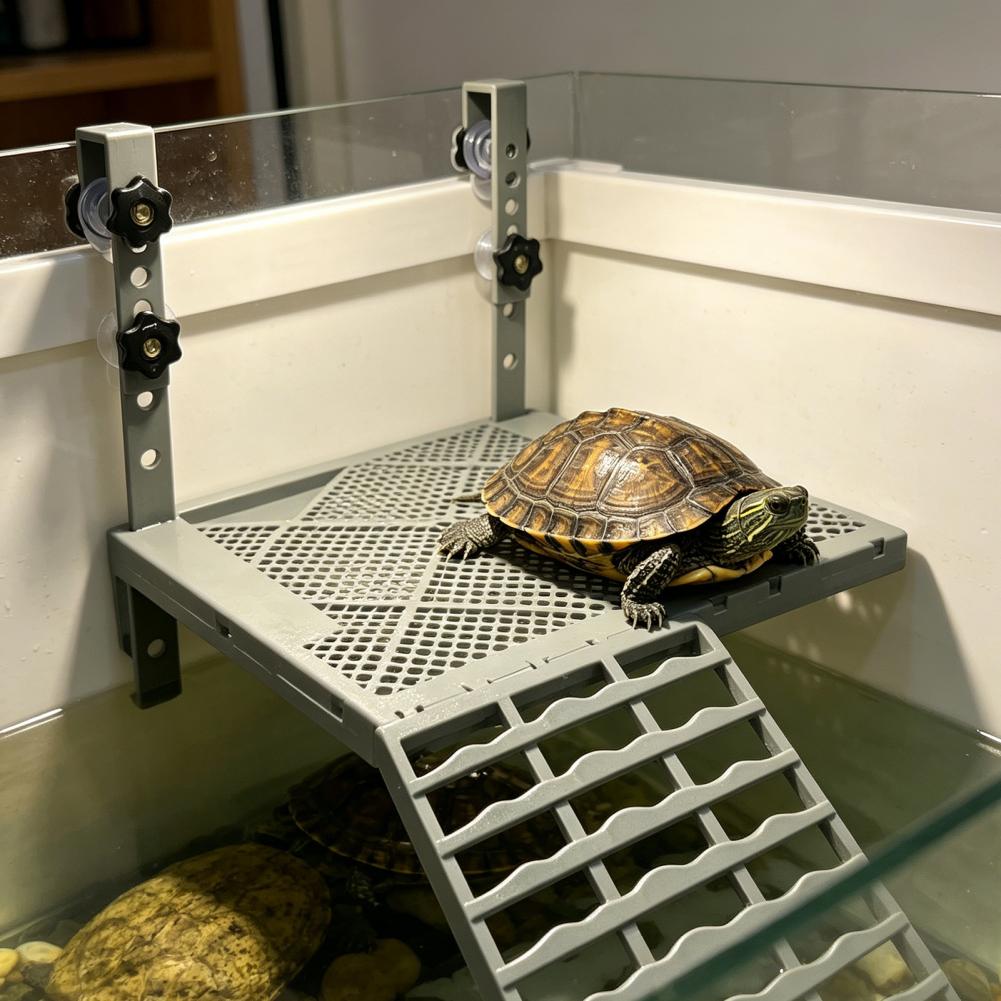 Aquariumdecoratie, massief han - Aquarium Marine Tank recensie en prijs